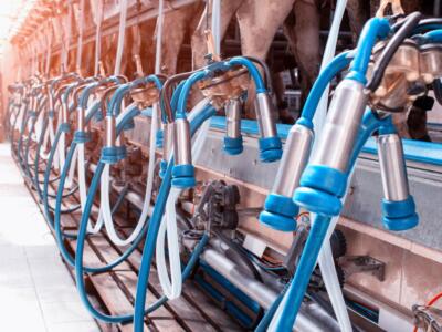 impianto per la mungitura