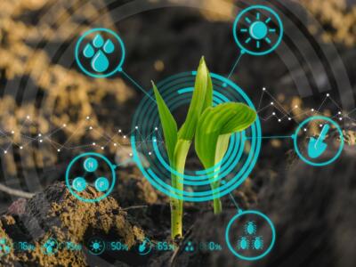 agricoltura innovativa