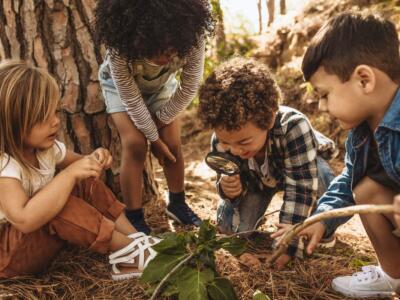 Bambini giocano nel bosco