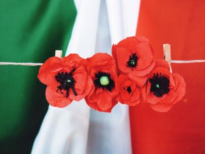 Bandiera italiana e papaveri