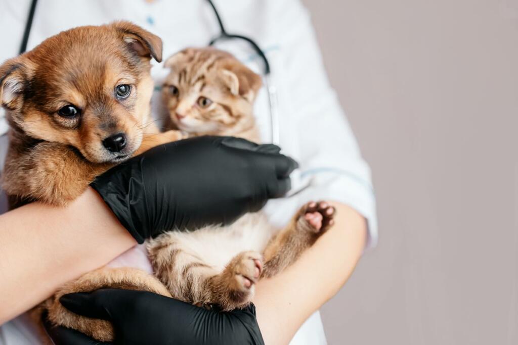 Un veterinario con cuccioli di cane e gatto