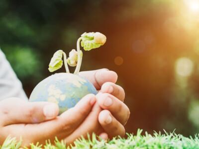 Prendersi cura del pianeta Terra