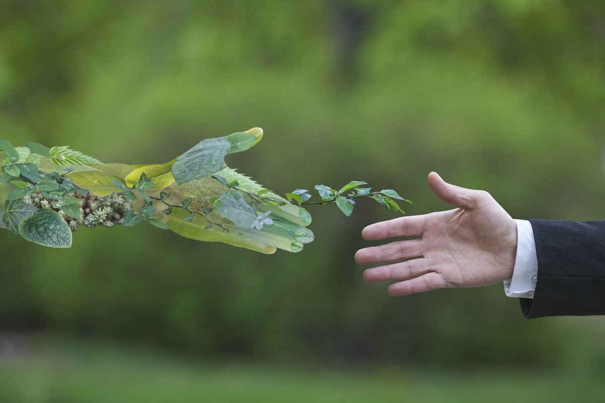 Stretta di mano tra uomo e natura