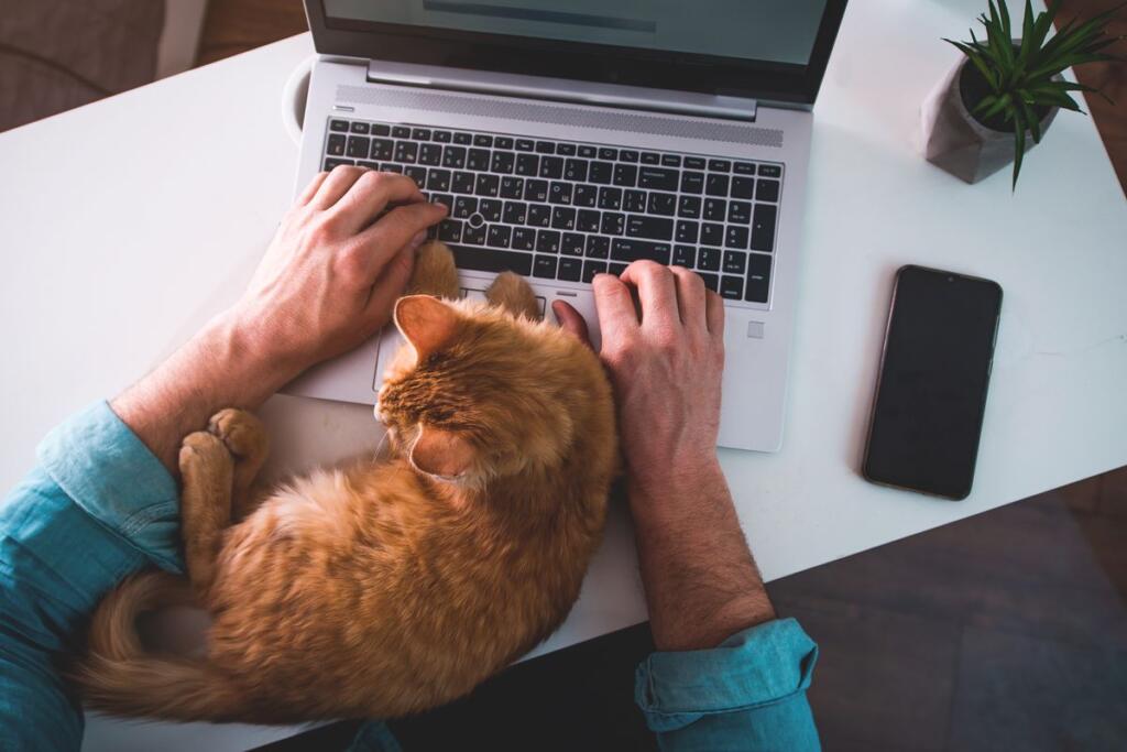 uomo in smart working con gatto