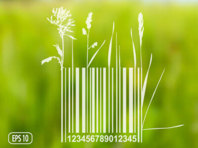Un bar code green