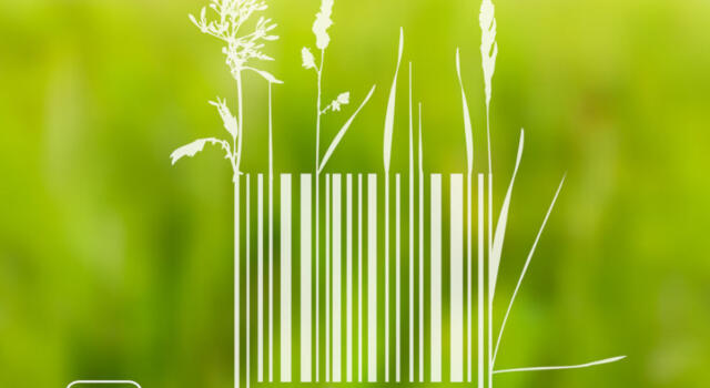 Cos&#8217;è Made Green in Italy, il marchio di certificazione d&#8217;eccellenza ambientale dei prodotti italiani