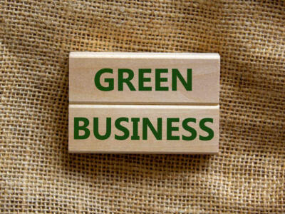 La promozione del Green Business