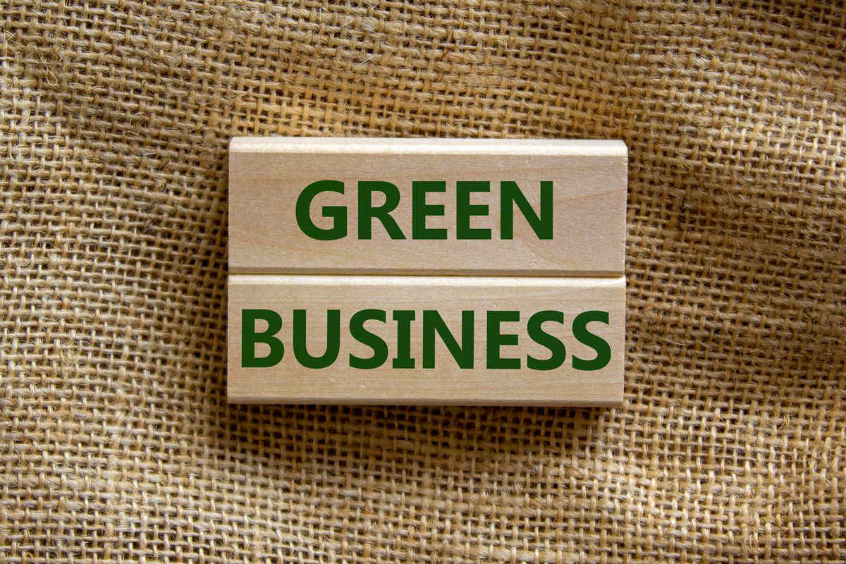 La promozione del Green Business