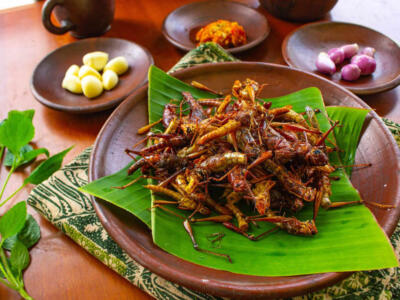 Un piatto di cavallette