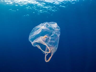 Un sacchetto di plastica abbandonato in un oceano tropicale