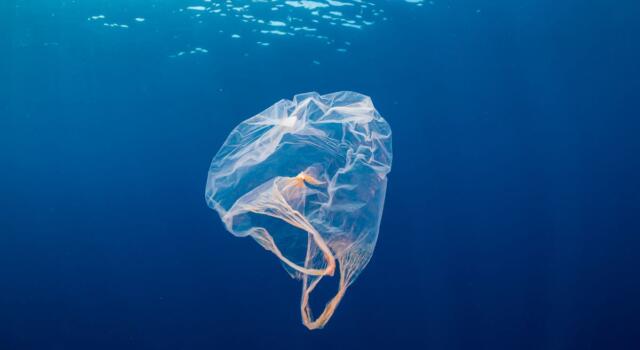 I microbi si stanno adattando all&#8217;inquinamento dei mari &#8220;mangiando&#8221; la plastica