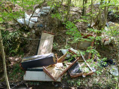 Una discarica abusiva in un bosco