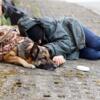 Milano si mobilita per i cani dei senzatetto: veterinari gratis e kit di assistenza