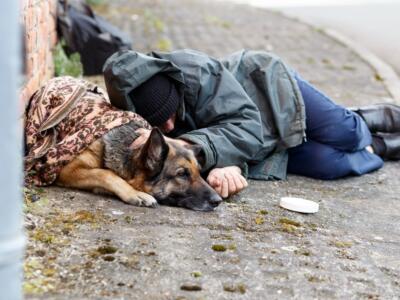 Un homeless con il suo cane