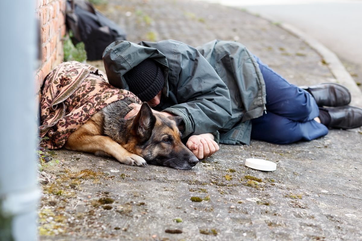 Un homeless con il suo cane