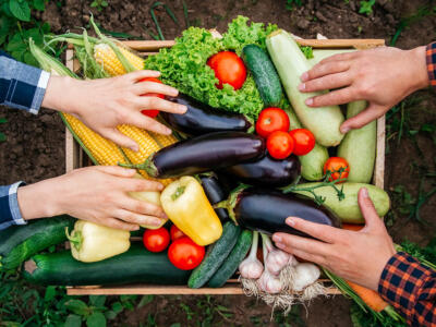 Agricoltura biologica