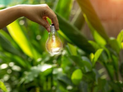 Una lampadina tra le foglie, simbolo di sostenibilità
