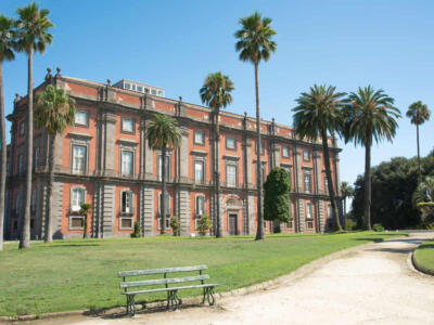 palazzo museo napoli