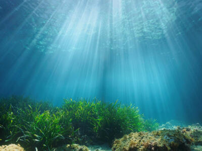 Luce solare naturale sott'acqua attraverso la superficie dell'acqua con fanerogame e roccia sul fondo del mare Mediterraneo