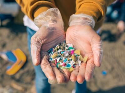 Microplastiche
