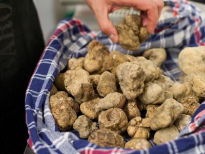 cesto di tartufi bianchi