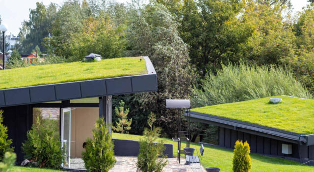 Green roof, cosa sono e quali sono i benefici dei tetti verdi