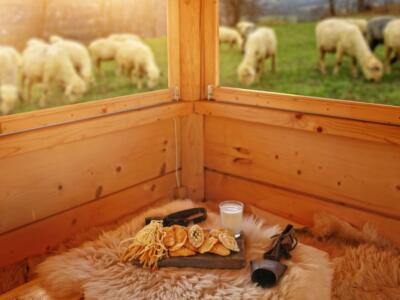 Prodotti a base di latte ovino e un gregge di pecore