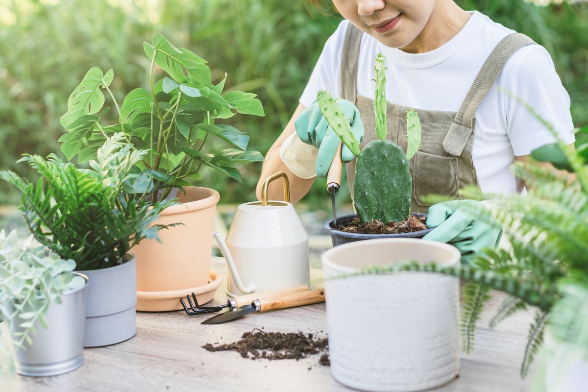 ragazza piante giardinaggio