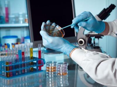 Uno scienziato che tiene una capsula di Petri in laboratorio