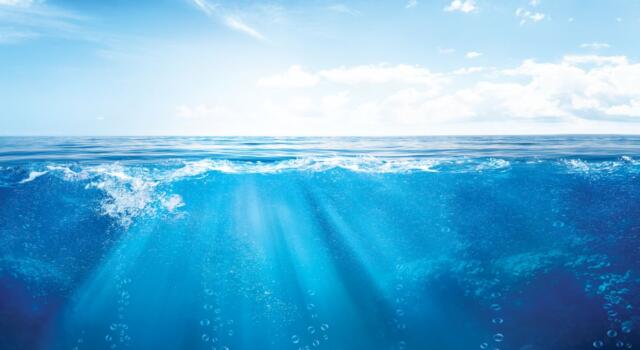 Ambiente, siglato all&#8217;ONU uno storico accordo per salvare gli oceani