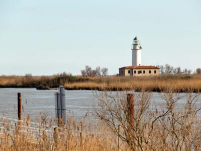 faro po di goro ferrara