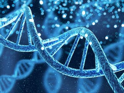 struttura della molecola dna