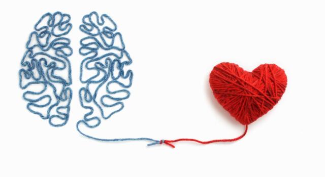 Cervello e cuore comunicano con segnali elettrici: i risultati della ricerca UniPD