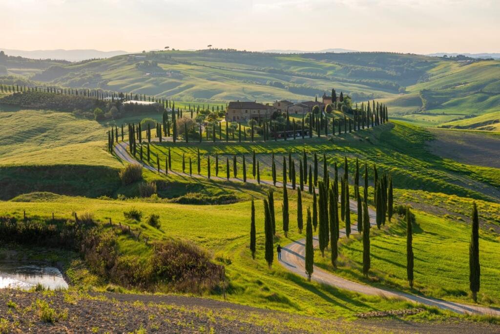 Agriturismo in Italia, il settore è in forte crescita: i numeri del successo