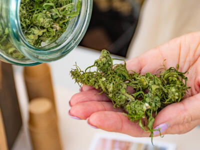 La vendita controllata di marijuana