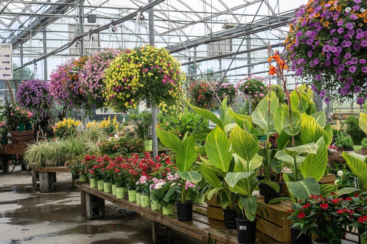 Una serra con piante e fiori