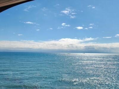 La vista panoramica del mare da un treno