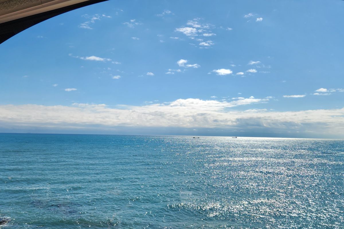 La vista panoramica del mare da un treno