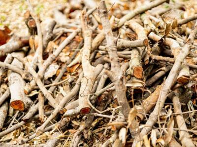 Una pila di legna da ardere