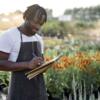 Cresce il numero di lavoratori africani impiegati nell’agricoltura italiana