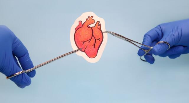 Trapianti di cuore: aumentano i donatori in Italia