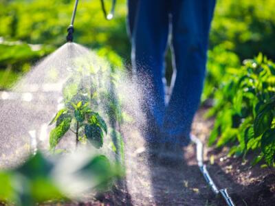 Un agricoltore italiano usa biostimolanti