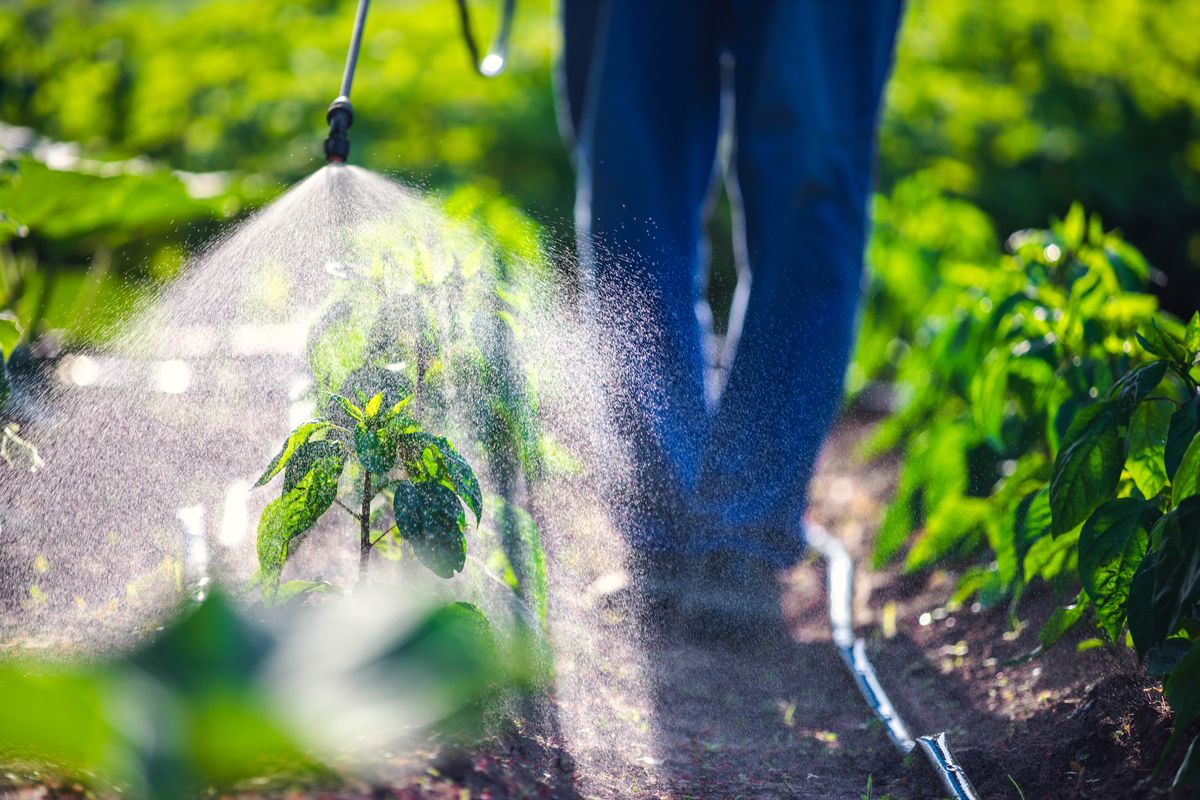 Un agricoltore italiano usa biostimolanti