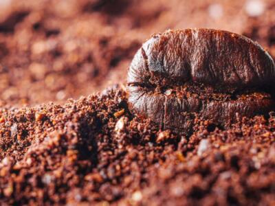 Un chicco di caffè spicca su una montagna di macinato