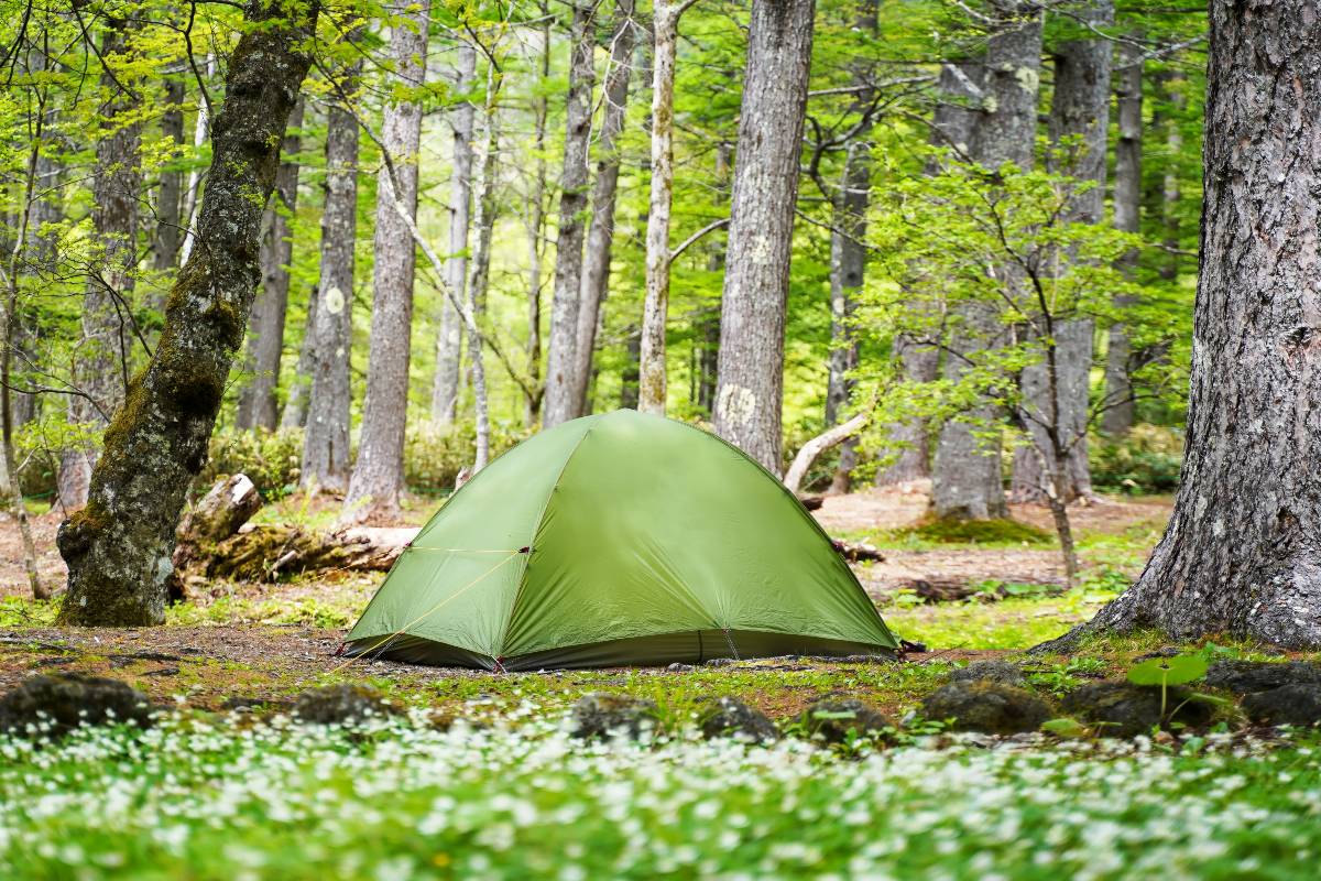 Tenda da campeggio nella foresta