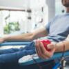 Rosso, la startup che promuove la donazione di sangue tra i giovani