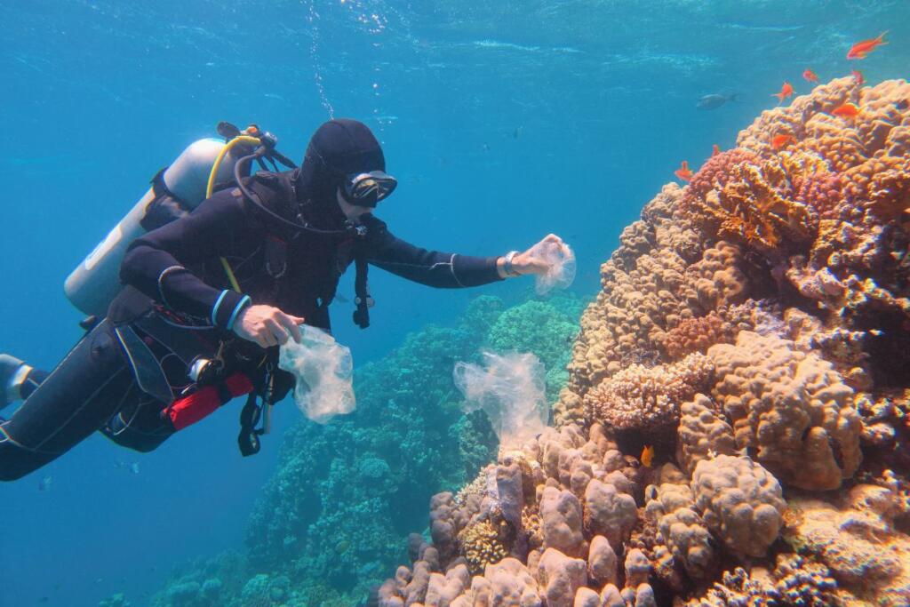 Pulizia degli oceani dalla plastica