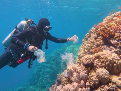 Pulizia degli oceani dalla plastica