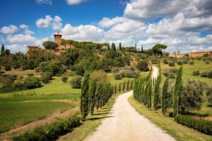 Cipressi sulle colline di Pienza in Toscana