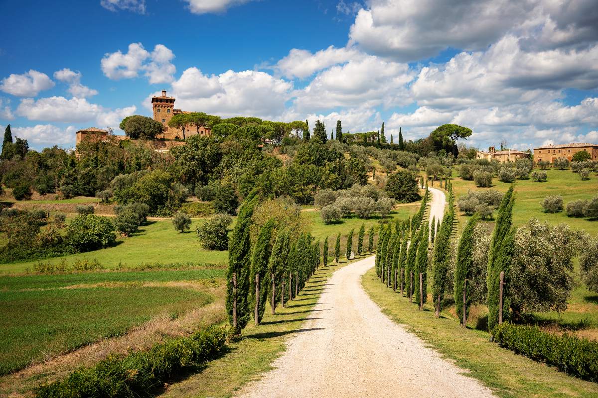 Cipressi sulle colline di Pienza in Toscana